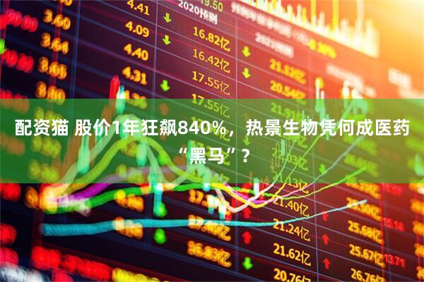 配资猫 股价1年狂飙840%，热景生物凭何成医药“黑马”？