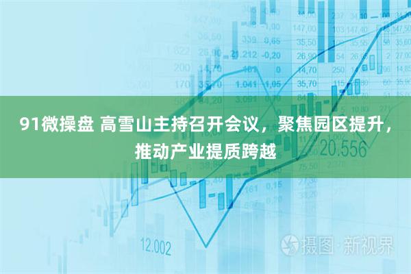 91微操盘 高雪山主持召开会议，聚焦园区提升，推动产业提质跨越