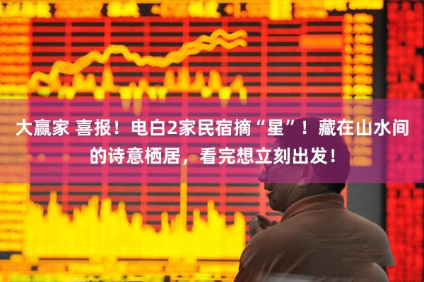 大赢家 喜报！电白2家民宿摘“星”！藏在山水间的诗意栖居，看完想立刻出发！