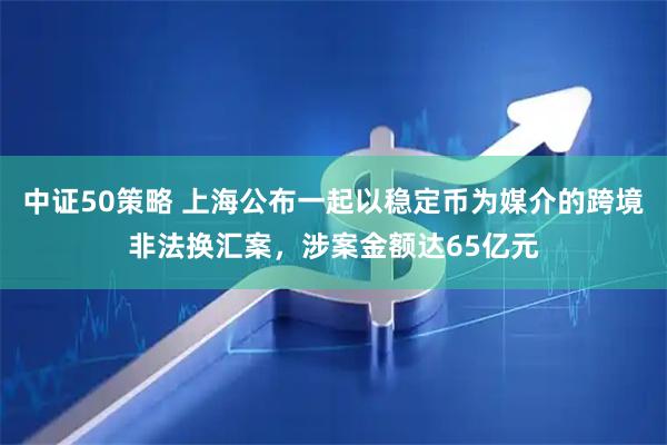 中证50策略 上海公布一起以稳定币为媒介的跨境非法换汇案，涉案金额达65亿元
